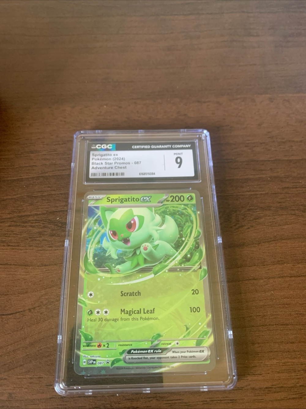 Sprigatito ex Holographic Trading Card - Green -